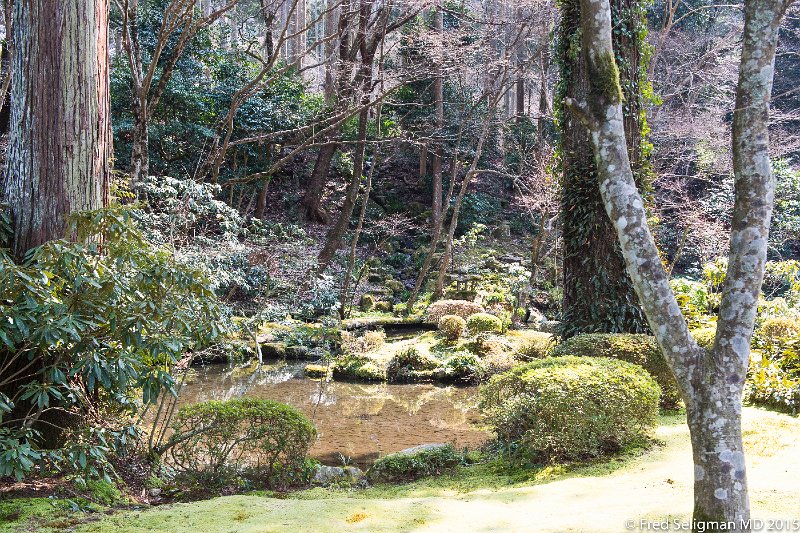 20150313_113912 D4S.jpg - Gardens, Sanzen-in Temple, Kyoto Prefecture, Sanzen-in Temple